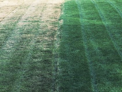 What Kind Of Fertilizer Should I Use On My Lawn?