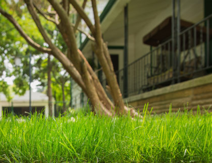lawn services for your home