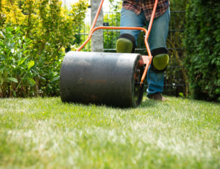 lawn care in spring