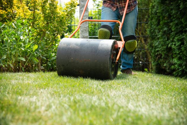 lawn care in spring