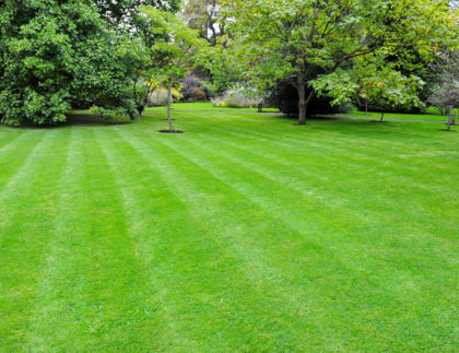 lawn care services doylestown pa