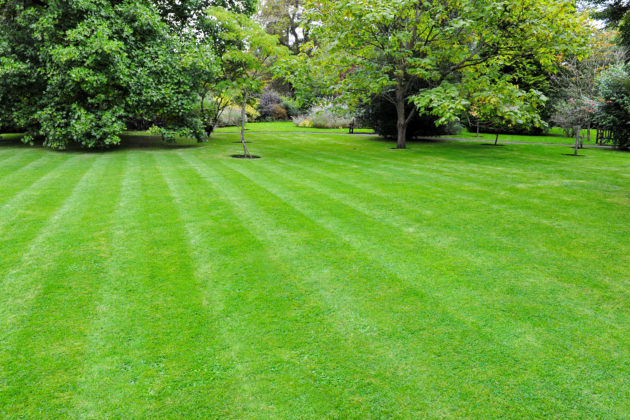 lawn care services doylestown pa