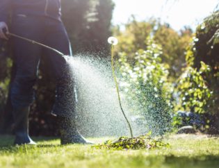 4 Pre-Summer Lawn Care Treatments to Consider