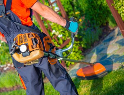 How Professional Lawn Maintenance Can Save Time & Money