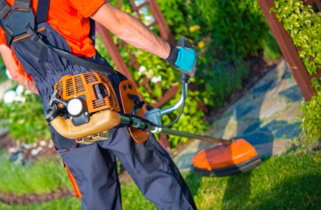 How Professional Lawn Maintenance Can Save Time & Money