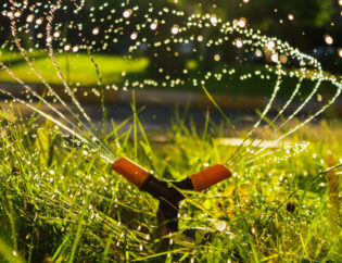 Keep Your Lawn Green With These Watering Tips