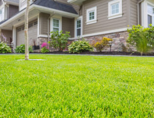 9 Questions To Ask A Lawn Care Company Before You Hire Them