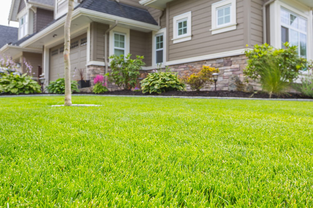 9 Questions To Ask A Lawn Care Company Before You Hire Them