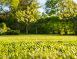 Does Having A Well-Maintained Lawn Add To Your Property Value