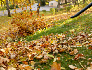 5 Must-Do’s For Fall Clean Up