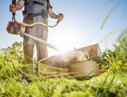 Spring Lawn Recovery: A Step-by-Step Guide to Post-Winter Care