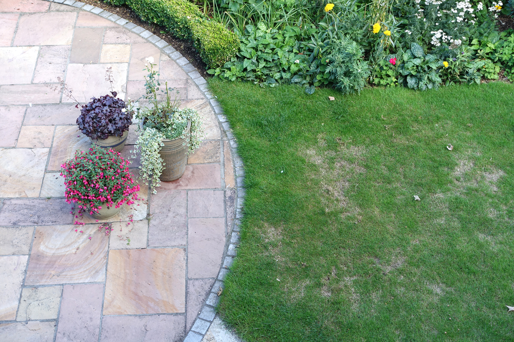 Repairing Winter Damage: Fixing Bare Patches and Thinning Grass